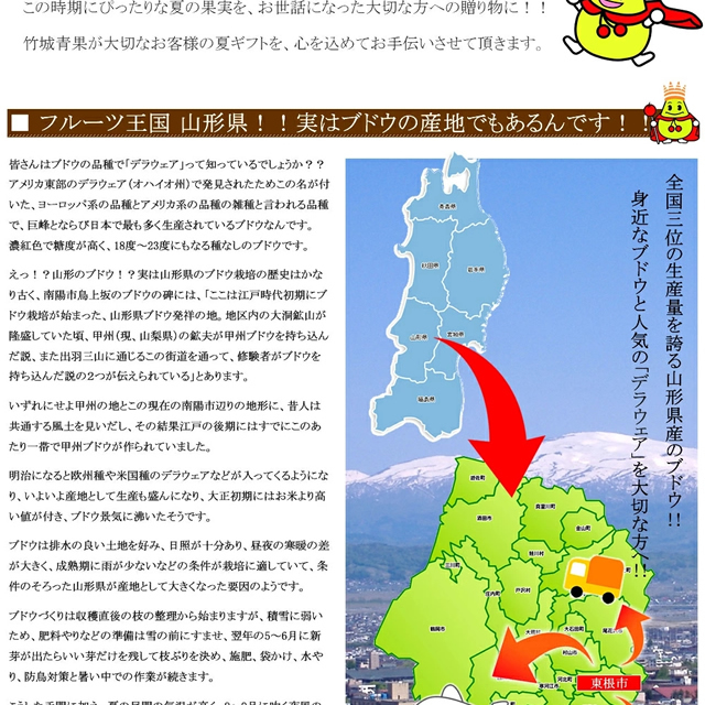山形県産 ぶどう デラウェア