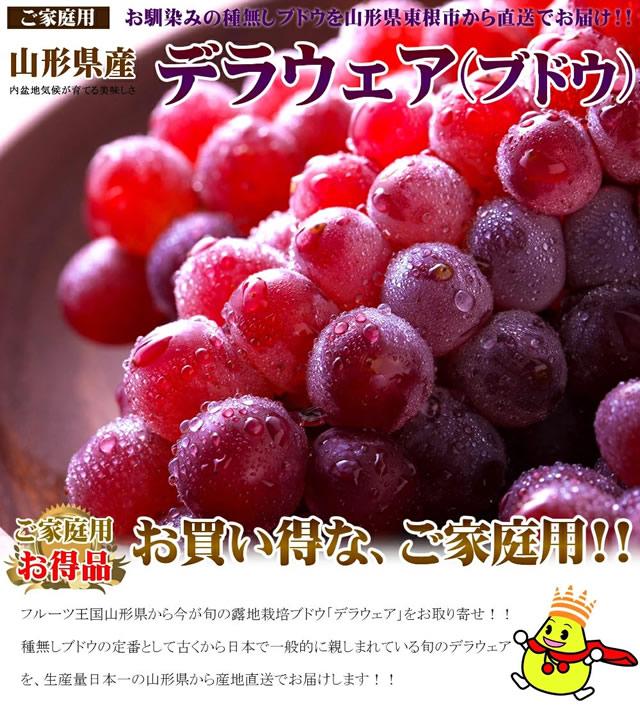 山形県産 ぶどう デラウェア