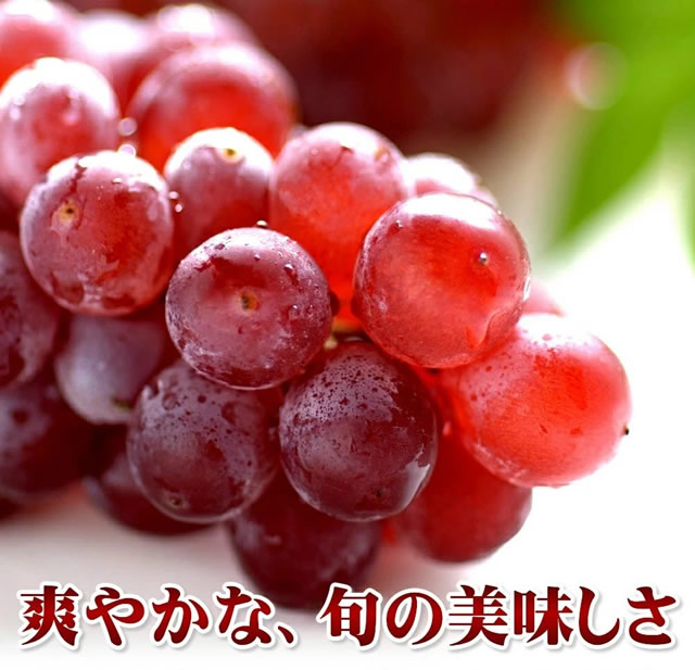 山形県産 ぶどう デラウェア