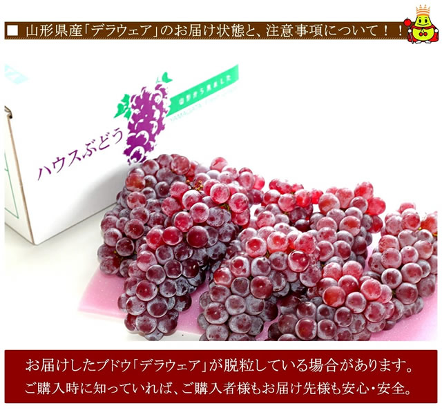 山形県産 ぶどう デラウェア