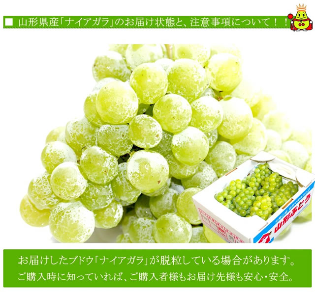 山形県産 ぶどう ナイアガラ
