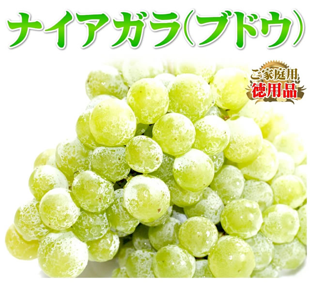 山形県産 ぶどう ナイアガラ