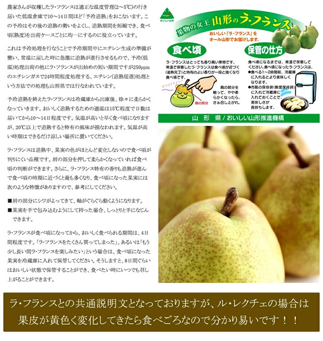 秀品 ル・レクチェ