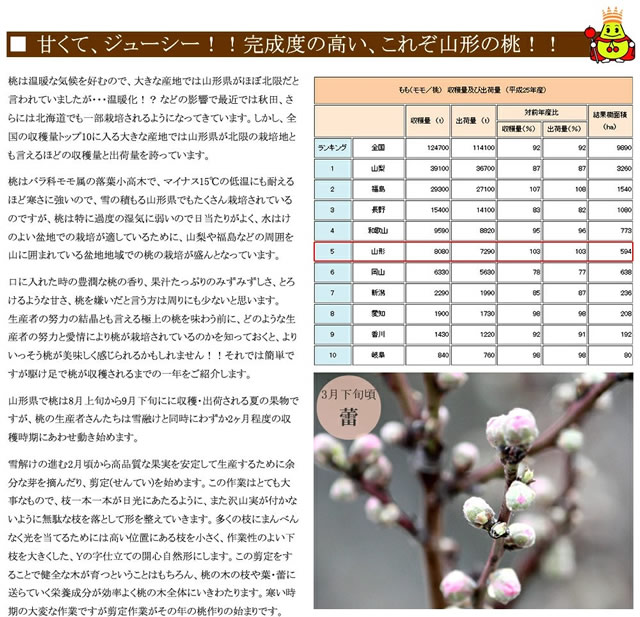 山形県産 白桃・黄桃 詰合せ