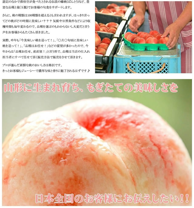 山形県産 白桃・黄桃 詰合せ