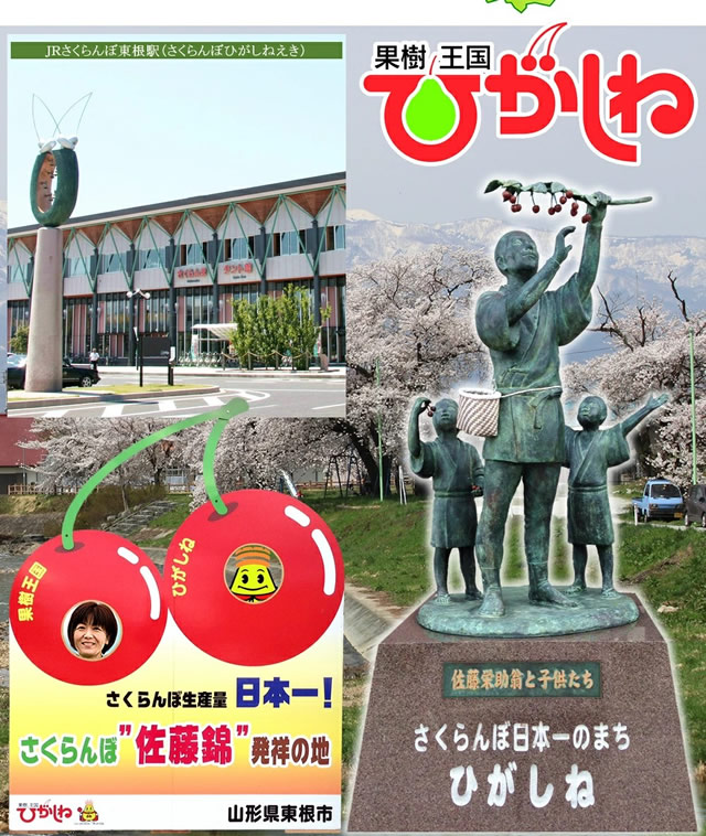 山形県産 白桃・黄桃 詰合せ