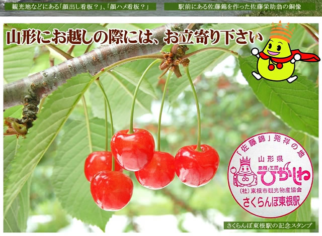 山形県産 白桃・黄桃 詰合せ