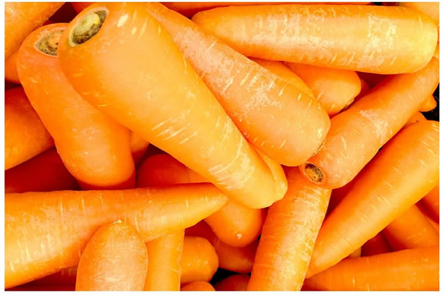 ご家庭用 無農薬にんじん