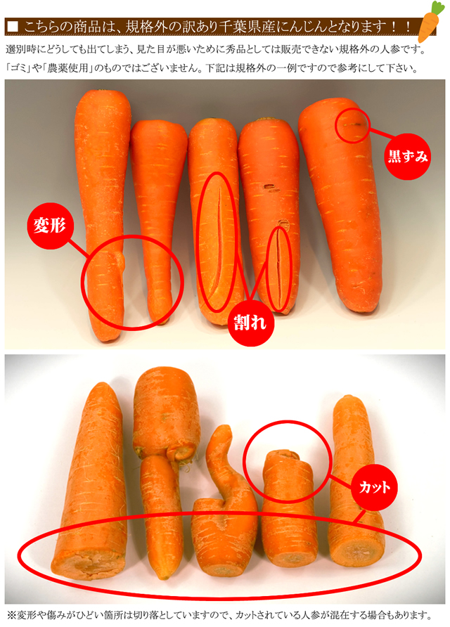 ご家庭用 無農薬にんじん