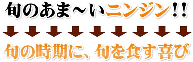 ご家庭用 無農薬にんじん