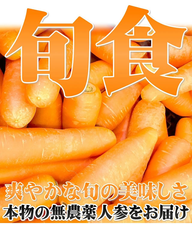 ご家庭用 無農薬にんじん