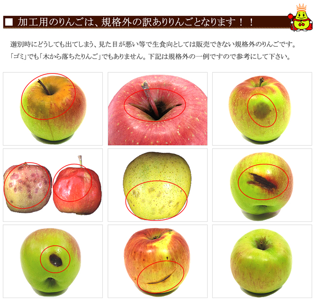 品種おまかせ 加工用 りんご