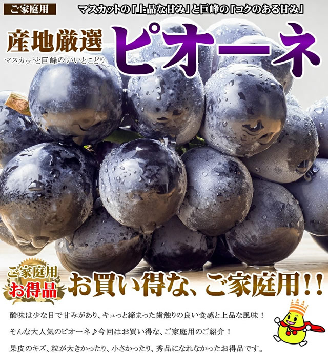 産地厳選 ピオーネ