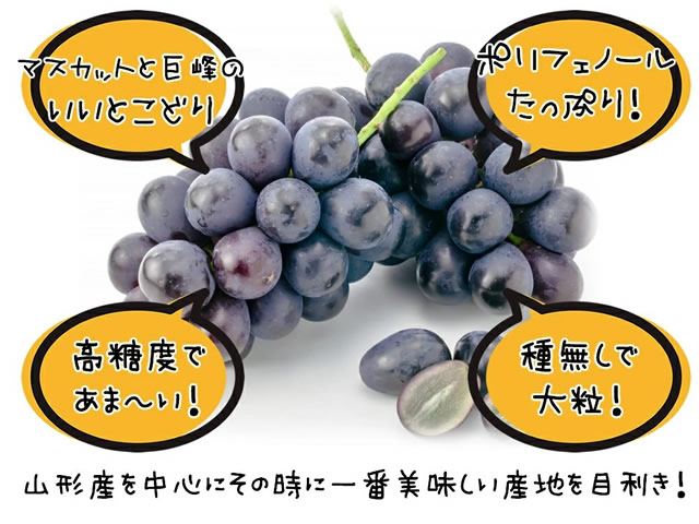 産地厳選 ピオーネ