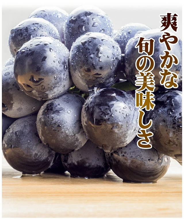 産地厳選 ピオーネ