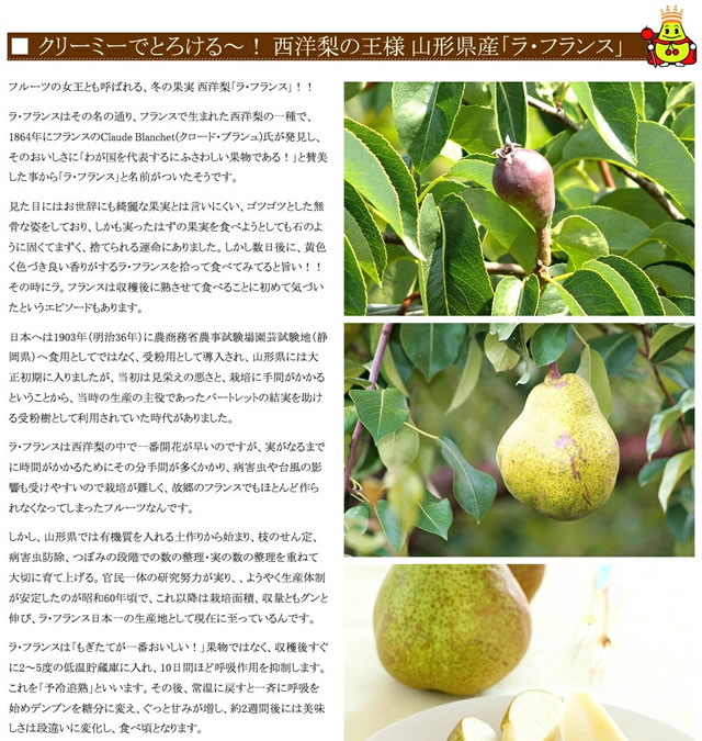 秀品 ラ・フランス