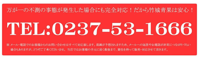 秀品 ラ・フランス