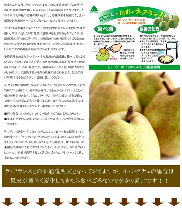 秀品 冬の果実2色詰め合わせ