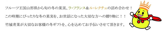 秀品 冬の果実2色詰め合わせ