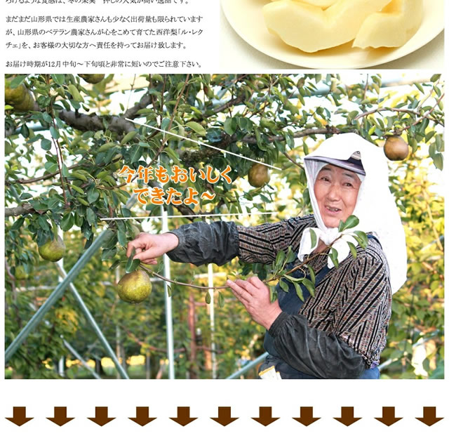 秀品 冬の果実2色詰め合わせ