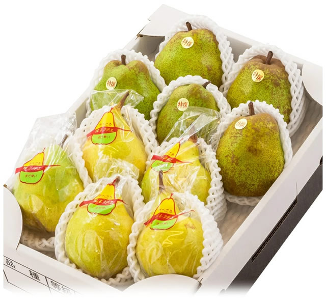 秀品 冬の果実2色詰め合わせ