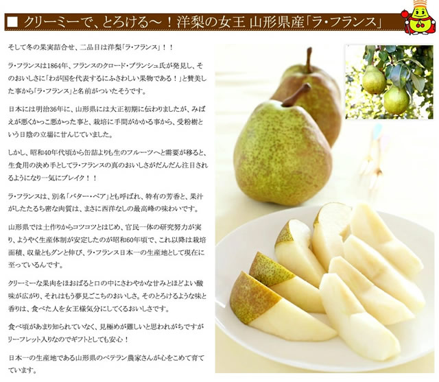 秀品 ラフ&シナノ 詰め合わせ