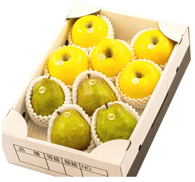 秀品 ラフ&シナノ 詰め合わせ