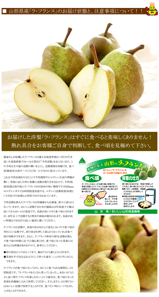 山形県産 訳あり ラ・フランス