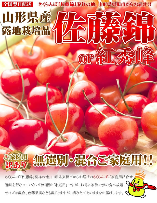 山形県産 さくらんぼ 佐藤錦or紅秀峰