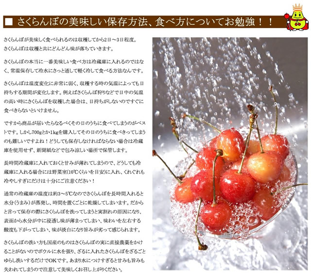 山形県産 さくらんぼ 佐藤錦or紅秀峰