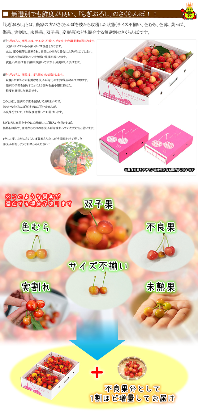 山形県産 もぎおろし さくらんぼ