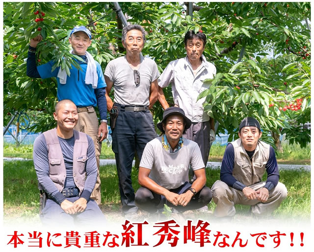 山形県産 さくらんぼ 紅秀峰