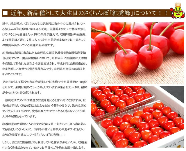 山形県産 さくらんぼ 紅秀峰