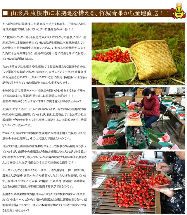 山形県産 さくらんぼ 紅秀峰