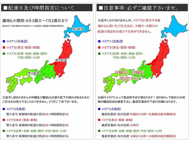 山形県産 さくらんぼ 紅秀峰