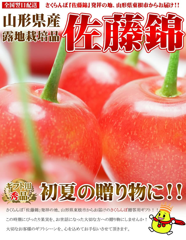 山形県産 さくらんぼ 佐藤錦