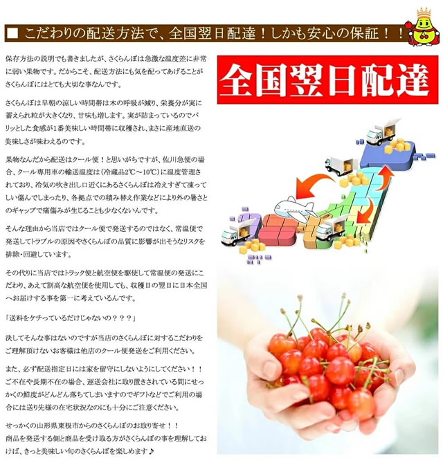 山形県産 さくらんぼ 佐藤錦