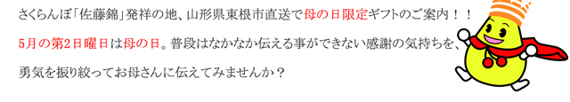 山形県産 さくらんぼ 佐藤錦