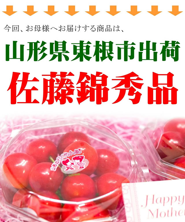 山形県産 さくらんぼ 佐藤錦