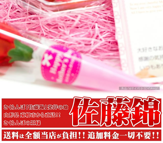 山形県産 さくらんぼ 佐藤錦