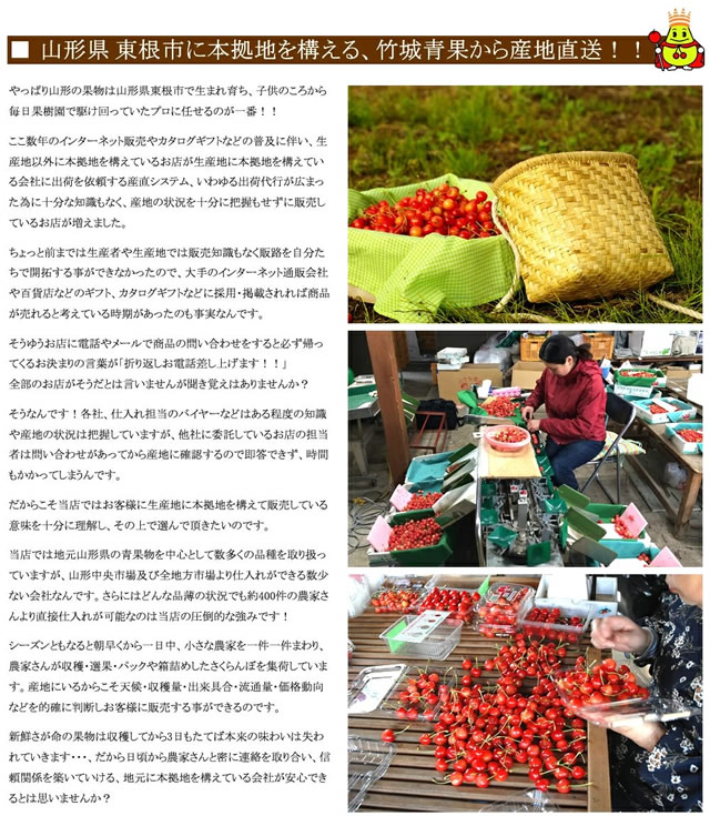 山形県産 さくらんぼ 佐藤錦