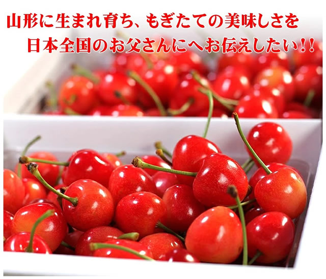山形県産 さくらんぼ 佐藤錦