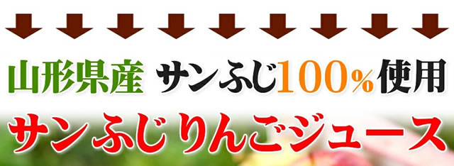 りんご 100% ストレートジュース