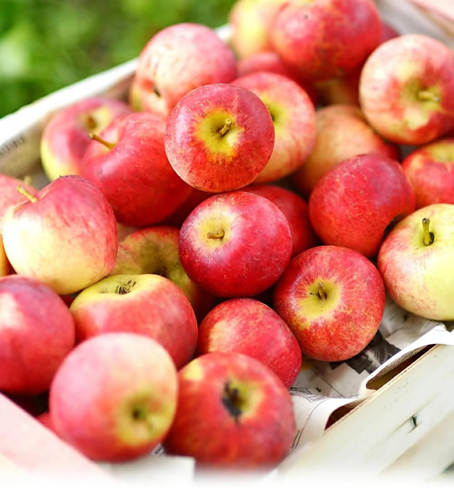 りんご 100% ストレートジュース