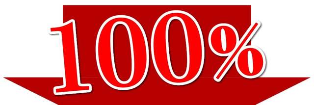 りんご 100% ストレートジュース