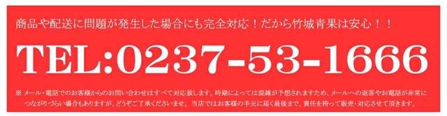 りんご 100% ストレートジュース