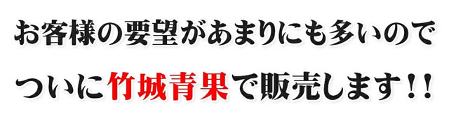 りんご 100% ストレートジュース