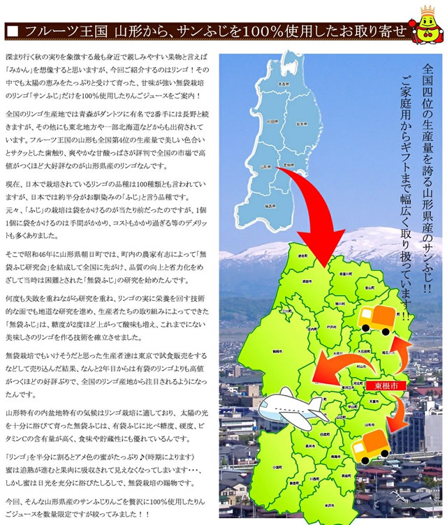 りんご 100% ストレートジュース