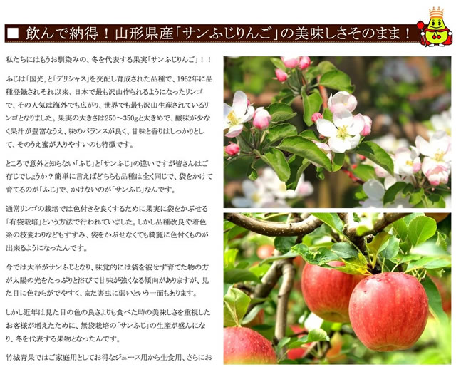 りんご 100% ストレートジュース