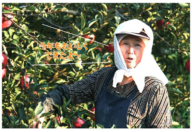 りんご 100% ストレートジュース